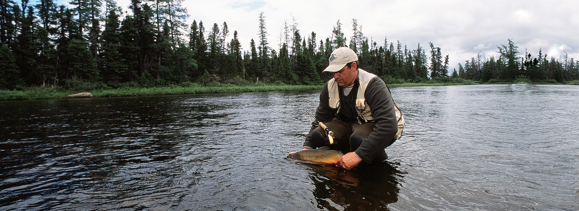 Brook Trout, Labrador Canada, Trout, fish, Northern Lights Fishing Lodge